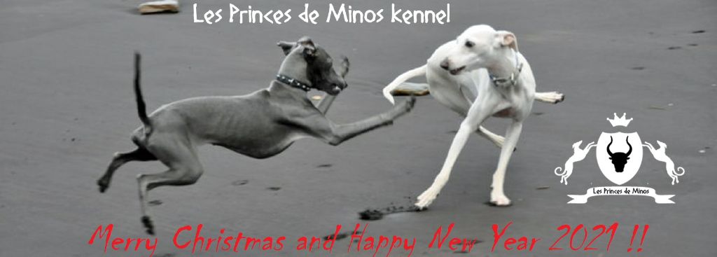des princes de minos -                                     JOYEUX NOËL !!