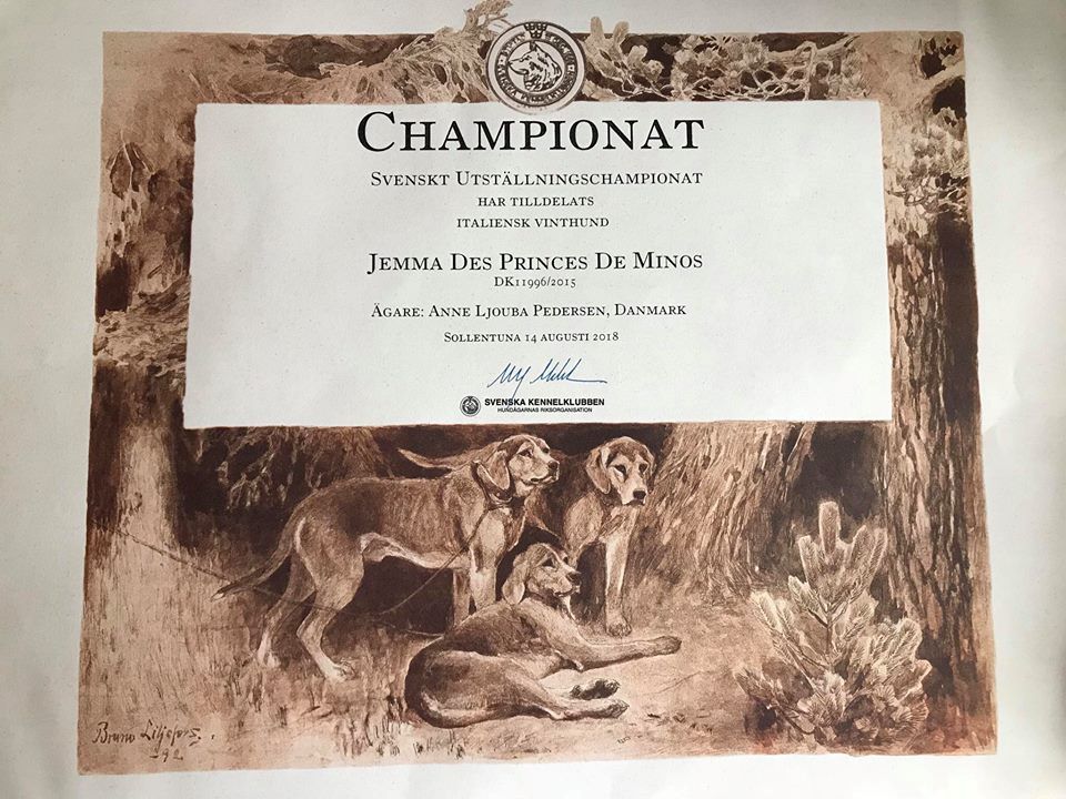 des princes de minos - JEMMA DES PRINCES DE MINOS