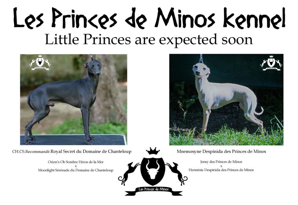 des princes de minos - Royal Idyll