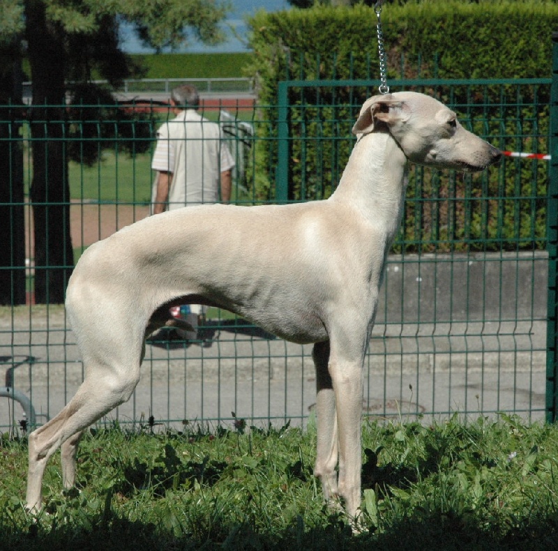 CH. Bel aghios minos du domaine de Chanteloup