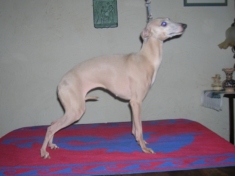 Delphie despinida des princes de minos