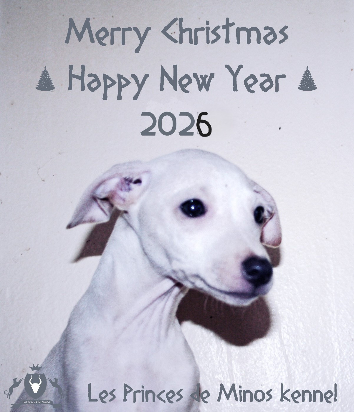 MERRY CHRISTMAS AND HAPPY NEW YEAR !