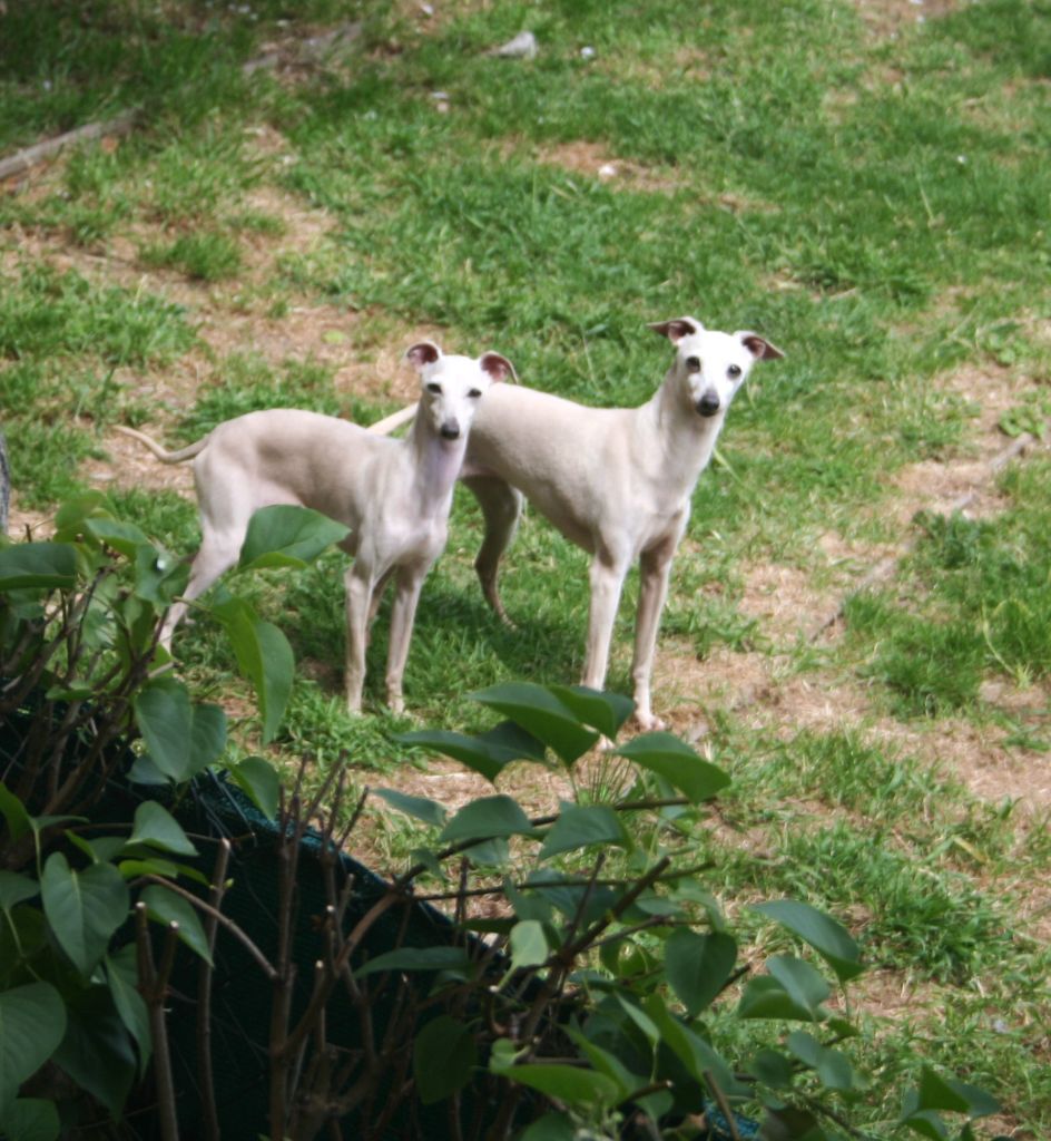 Mother and daughter !